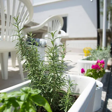 Holiday home Seaside Family Friendly House With A Swimming Pool Okrug Donji, Ciovo - 17587 Donji Okrug (Ciovo)